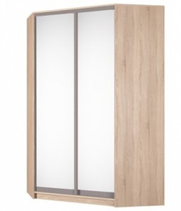Угловой шкаф-купе Аларти (YA-230х1400(602) (10) Вар. 5; двери D5+D5), с зеркалом в Мурманске - предосмотр