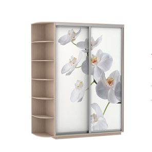 Шкаф 2-дверный Экспресс 1900x600x2200, со стеллажом, Орхидея белая/дуб молочный в Мурманске