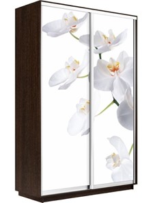 Шкаф Экспресс 1400x600x2400, Орхидея белая/венге в Мурманске - предосмотр