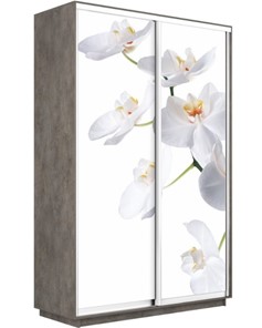 Шкаф-купе 2-х дверный Экспресс 1600x600x2400, Орхидея белая/бетон в Мурманске