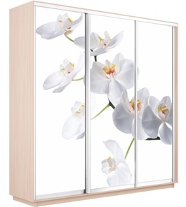 Шкаф трехдверный Экспресс 1800х600х2200, Орхидея белая/дуб молочный в Мурманске