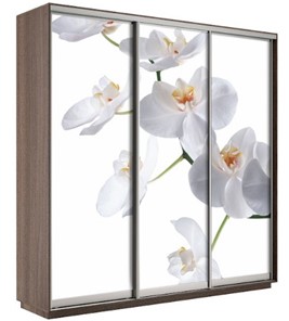 Шкаф трехдверный Экспресс 1800х600х2400, Орхидея белая/шимо темный в Мурманске