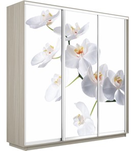 Шкаф 3-х створчатый Экспресс 2100х600х2200, Орхидея белая/шимо светлый в Мурманске - предосмотр