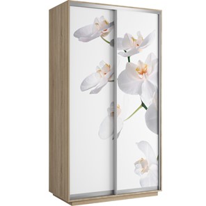 Шкаф 2-дверный Хит 1200x600x2200, белая орхидея, ясень шимо светлый в Мурманске