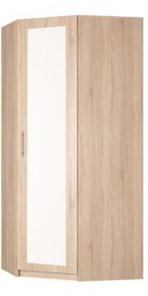 Угловой шкаф распашной Реал (YR-230х1034 (3)-М Вар.4), с зеркалом в Мурманске - предосмотр
