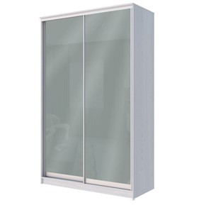 Шкаф двухдверный Хит-22-12-22 с цветным стеклом, средне-серый 074, Ясень анкор светлый в Мурманске