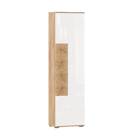 Шкаф одностворчатый Фиджи, 659300, белый/дуб золотой в Мурманске - изображение