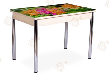 Кухонный стол раздвижной Айсберг-02 СТФ, Дуб ЛДСП/полевые цветы/ноги хром прямые в Мурманске