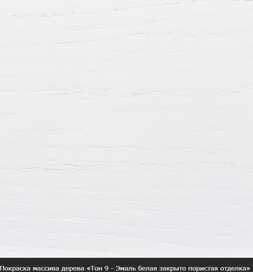 Стол раздвижной Фабрицио-1 исп. Круг 820, Тон 9 (Морилка/Эмаль) в Мурманске - изображение 16