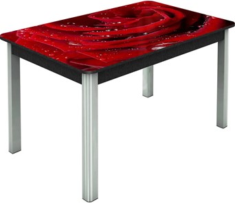 Кухонный раскладной стол Гамбург исп. Мини, ноги метал. крашеные №23, Фотопечать (Цветы №39) в Мурманске