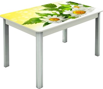 Кухонный стол раздвижной Гамбург исп.2 ноги метал. крашеные №23, Фотопечать (Цветы №3) в Мурманске