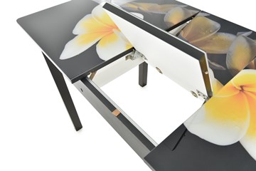Обеденный раздвижной стол Гамбург исп.2 ноги метал. крашеные №23, Фотопечать (Текстура №51) в Мурманске - предосмотр 5