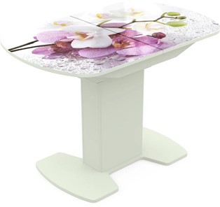 Кухонный стол раскладной Корсика исп. 2 Фотопечать (Цветы №44) 1200(1515)*800 в Мурманске