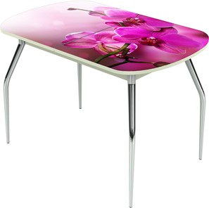 Кухонный стол раздвижной Ривьера исп.1 ноги метал. крашеные №24 Фотопечать (Цветы №16) в Мурманске