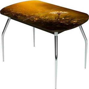 Кухонный стол раздвижной Ривьера исп.2 ноги метал. крашеные №24 Фотопечать (Цветы №43) в Мурманске