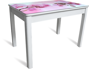 Кухонный раскладной стол Айсберг-01 СТФ, белое лдсп/орхидея/40 прямые массив белые в Мурманске