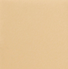 Стул обеденный Ричи С104  (отшив-полоска, опора-конус стандартная покраска) в Мурманске - изображение 5
