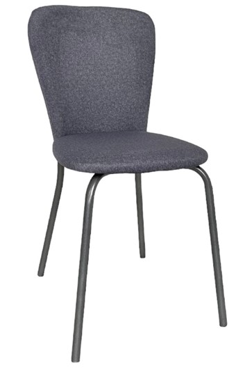 Обеденный стул Роджер Эконом С102-2(стандартная покраска) в Мурманске - изображение 1