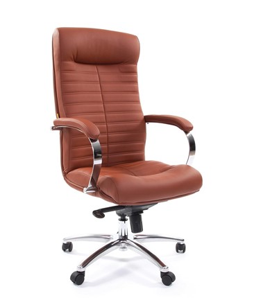 Компьютерное кресло CHAIRMAN 480 Экокожа Terra 111 (коричневая) в Мурманске - изображение