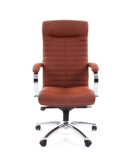 Компьютерное кресло CHAIRMAN 480 Экокожа Terra 111 (коричневая) в Мурманске - изображение 1