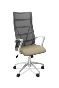Офисное кресло для руководителя Топ X белый каркас, сетка/ткань TW / серая/светло-серая в Мурманске - предосмотр