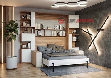Кровать-шкаф с диваном DetalMaster Дина, 1200х2000 в Мурманске