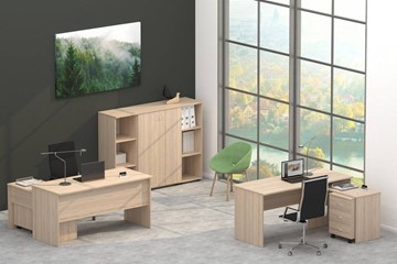Комплект офисной мебели Twin в Мурманске - предосмотр 4