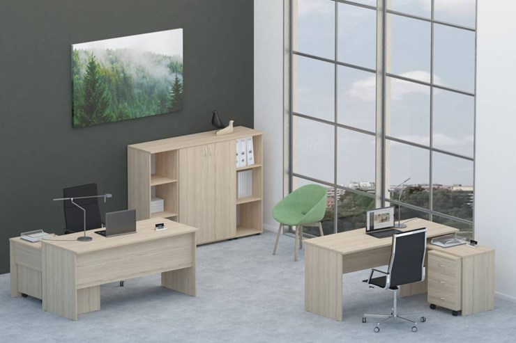 Офисный набор мебели Twin для 2 сотрудников со шкафом для документов в Мурманске - изображение