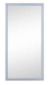 Настенное зеркало Ника (Серый) 119,5 см x 60 см в Мурманске
