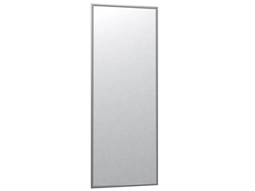 Зеркало навесное в спальню Сельетта-6 матовое серебро (1100х400х9) в Мурманске - предосмотр