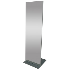 Зеркало напольное Стелла (графит темный) 163,5 см x 50 см в Мурманске