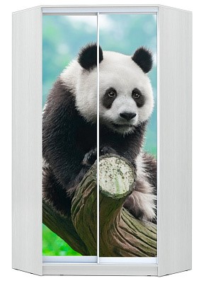 Угловой детский шкаф Хит-У-24-4-77-29, Панда, Белый в Мурманске - изображение
