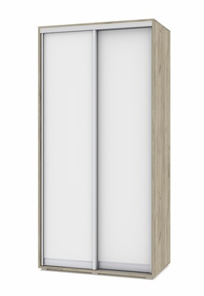 Шкаф-купе 2-х створчатый О41, Серый дуб - Белый в Мурманске - изображение