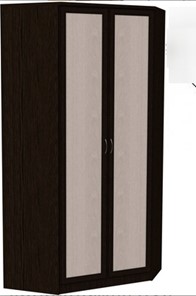 Распашной шкаф 403 несимметричный, цвет Венге в Мурманске - предосмотр
