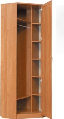 Распашной шкаф 402 угловой со штангой, цвет Венге в Мурманске - изображение 1