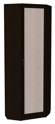 Распашной шкаф 402 угловой со штангой, цвет Венге в Мурманске - изображение