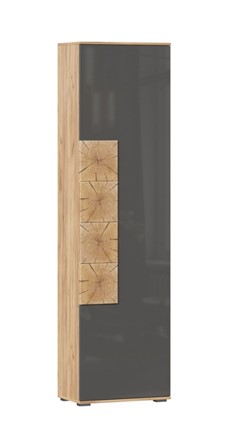 Шкаф одностворчатый Фиджи с декоративными накладками 659.300, Дуб Золотой/Антрацит в Мурманске - изображение