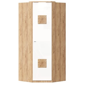 Шкаф угловой 45 с декоративной накладкой Фиджи, 659.248, белый в Мурманске - предосмотр