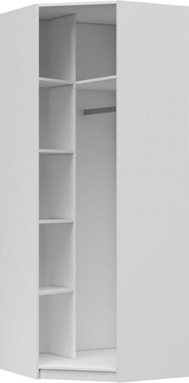 Распашной угловой шкаф Вива с зеркалом, Белый глянец / Платина в Мурманске - изображение 1