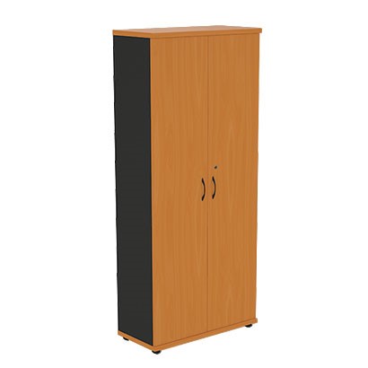 Шкаф 2-створчатый Моно-Люкс R5S05 в Мурманске - изображение