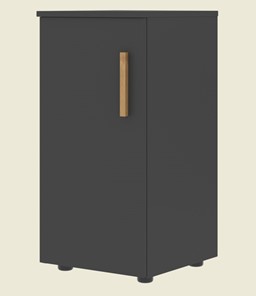 Низкий шкаф колонна с глухой дверью левой FORTA Черный Графит FLC 40.1 (L) (399х404х801) в Мурманске